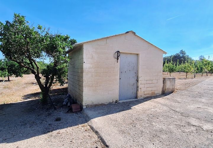 Finca i Ginestar, Tarragona, Ginestar - € 7 000 | Ref: CC846 - foto 1